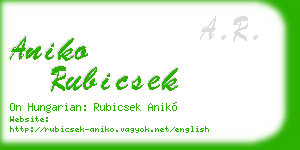 aniko rubicsek business card